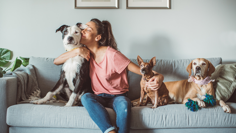 Are your cleaning products pet-safe? What every pet owner should know