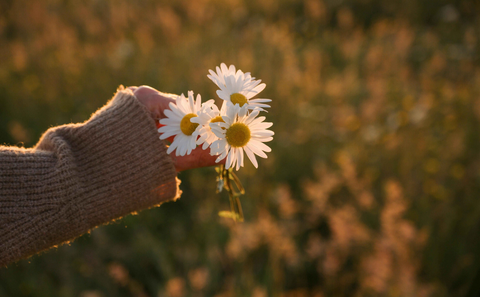 Why Choose Fragrance-Free Cleaning and Laundry Products?